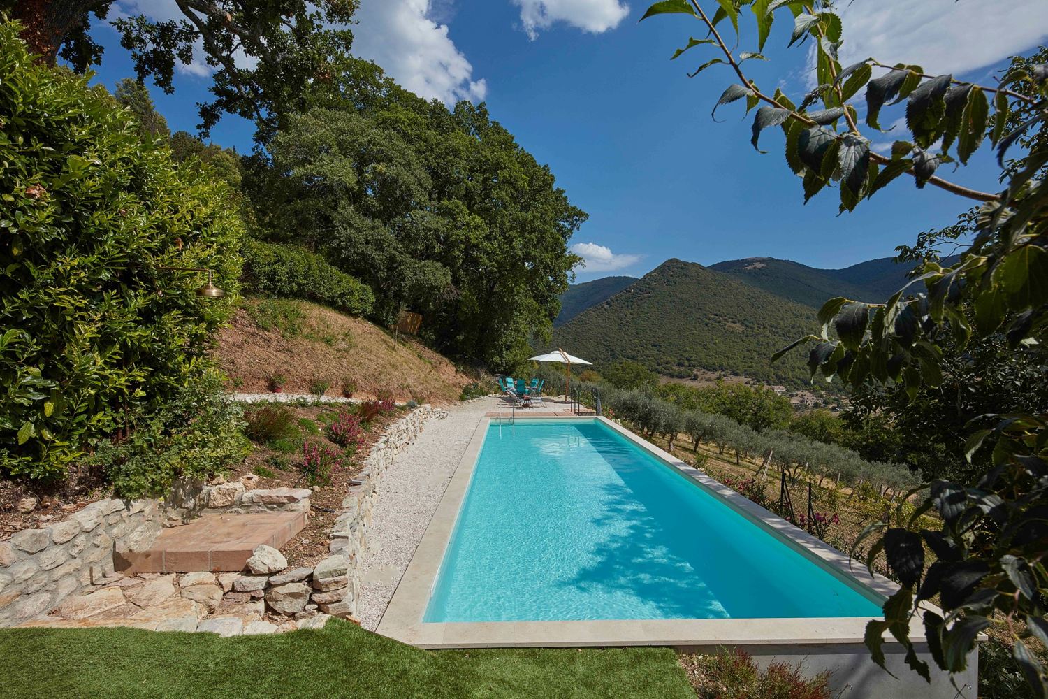 The pool seen from the garden, with wooded hills behind