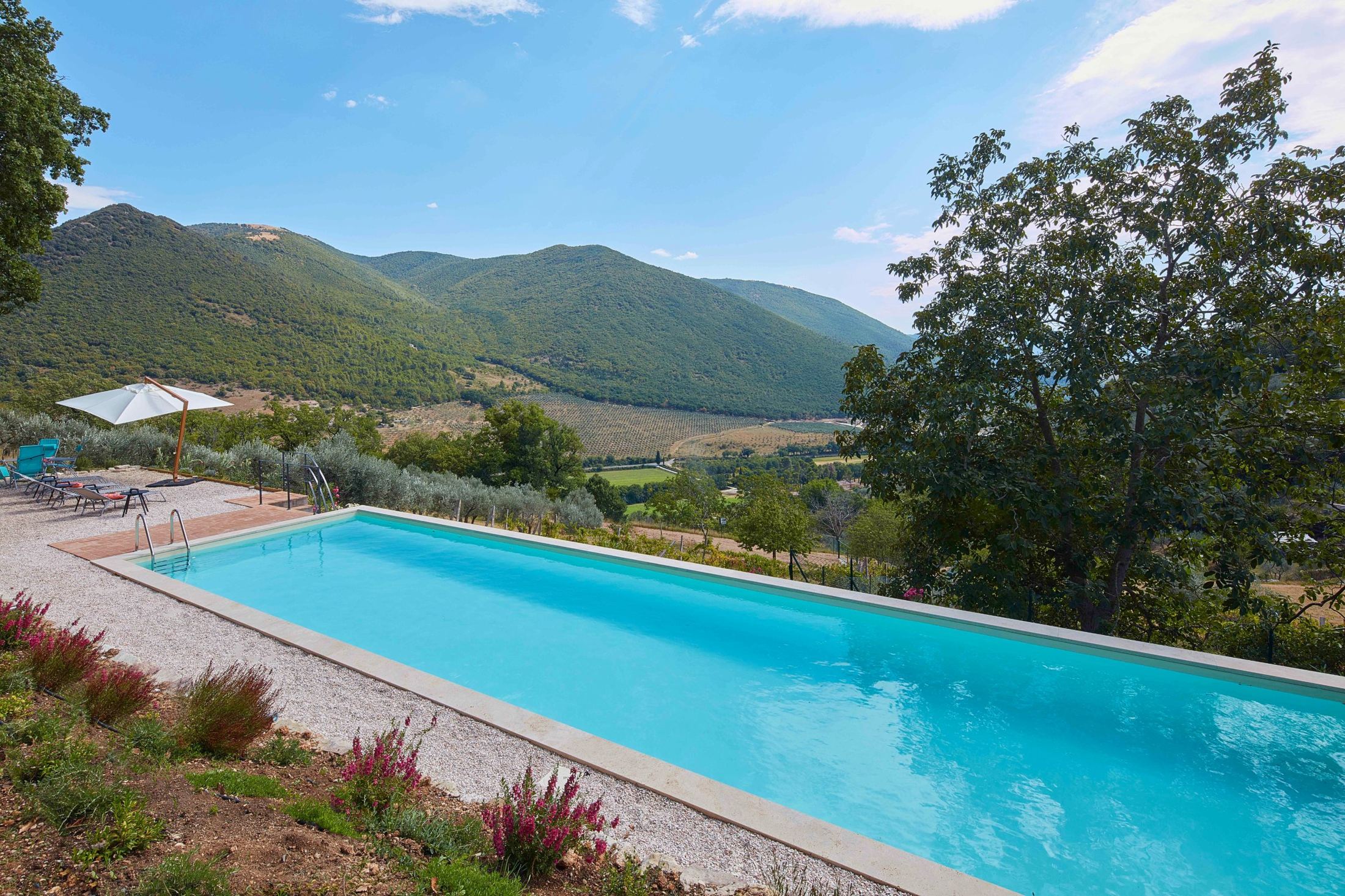 The pool at Casa Ventinove, looking across olive groves to the hills of the Spoleto valley