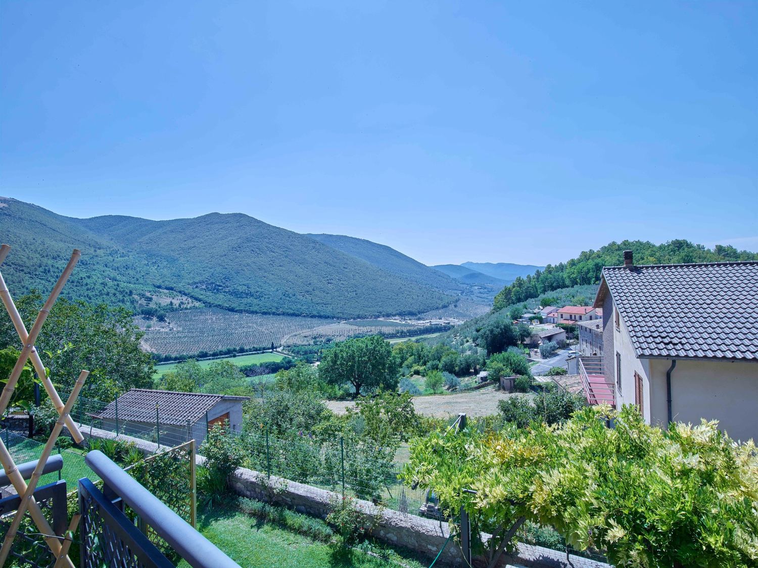 View from the house across the valley, olive groves and village rooftops